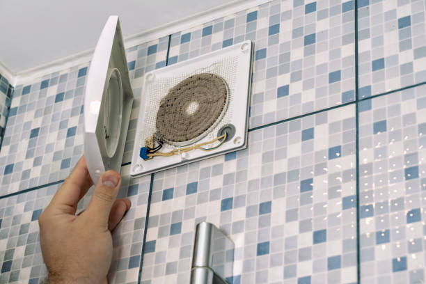 Best Air Vent Cleaning Services  in Tladega, AL